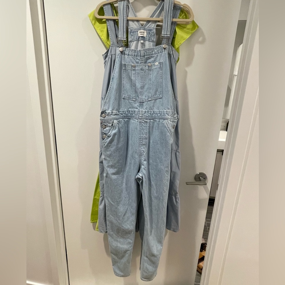 Aritzia denim overalls